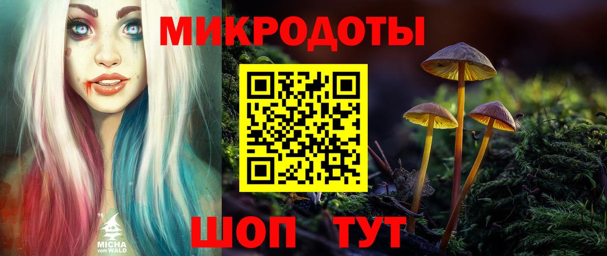 Галлюциногенные грибы Psilocybine cubensis Электросталь