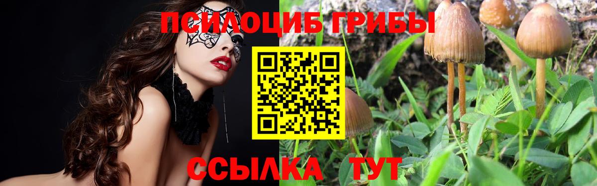 Псилоцибиновые грибы мицелий  Вход с VPN  Электросталь 